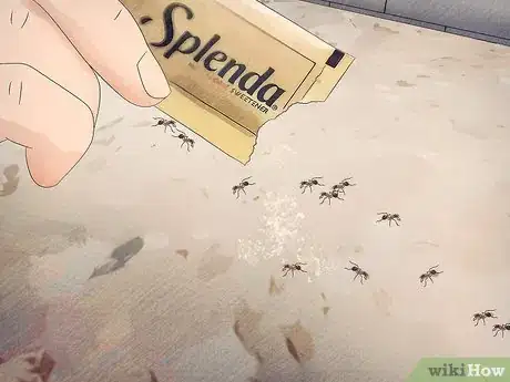 Imagen titulada Get Rid of Ants Naturally Step 12