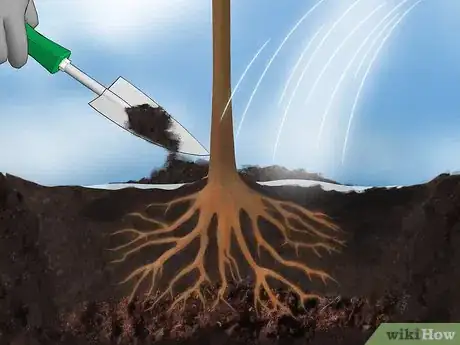 Imagen titulada Plant Fruit Trees Step 10