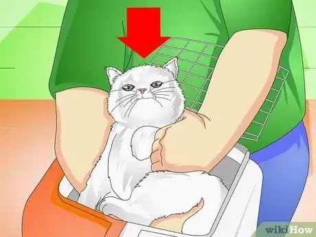 Imagen titulada Get a Cat Into a Pet Carrier Step 10