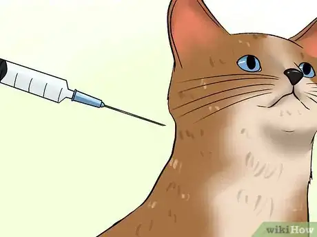 Imagen titulada Care for a Cat with Feline Leukemia Step 5