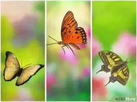 Imagen titulada Attract Butterflies Step 1