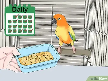 Imagen titulada Feed a Quaker Parrot Step 5