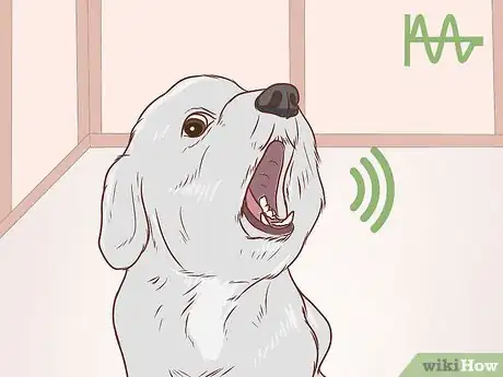 Imagen titulada Communicate With Your Dog Step 11