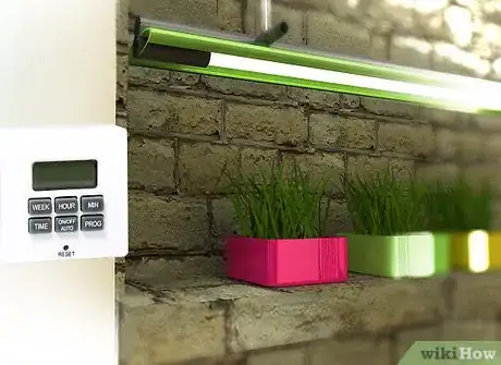 Imagen titulada Design a Successful Indoor Garden Step 7Bullet1