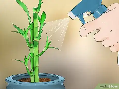 Imagen titulada Care for an Indoor Bamboo Plant Step 6