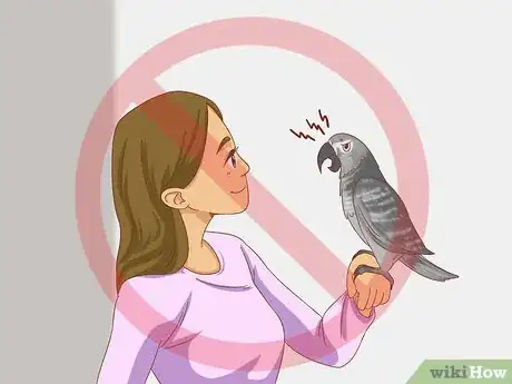 Imagen titulada Treat Feather Picking in African Grey Parrots Step 9