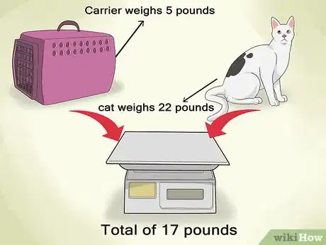 Imagen titulada Assess Your Cat's Weight Step 6