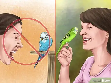 Imagen titulada Play With Your Parakeet Step 12