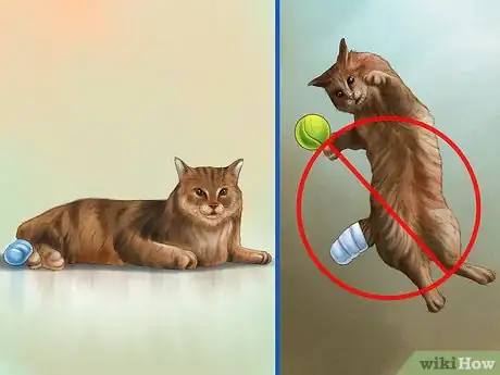 Imagen titulada Treat a Cat with a Tail Pull Injury Step 10