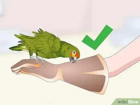 Imagen titulada Deal with an Aggressive Amazon Parrot Step 17