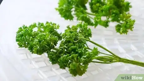 Imagen titulada Preserve Fresh Parsley Step 30