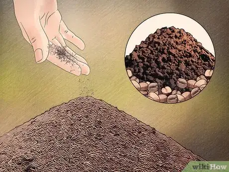 Imagen titulada Get Rid of Ants Naturally Step 13