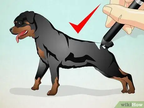 Imagen titulada Draw a Realistic Dog Step 5