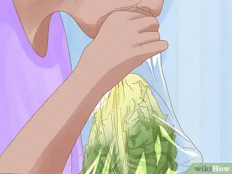 Imagen titulada Keep Lettuce Fresh Step 6