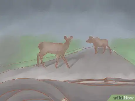 Imagen titulada Avoid a Moose or Deer Collision Step 6