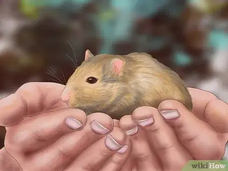 Imagen titulada Make Your Gerbil Happy Step 10