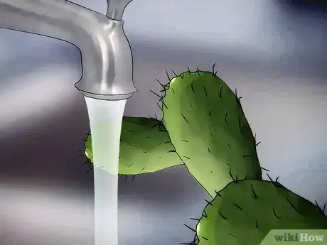 Imagen titulada Save a Dying Cactus Step 15