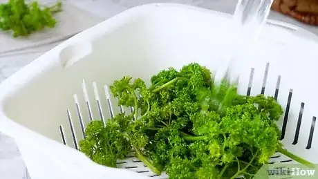 Imagen titulada Preserve Fresh Parsley Step 16