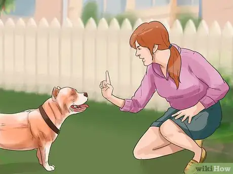 Imagen titulada Train a Bully Breed Dog Step 4