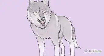 dibujar un lobo