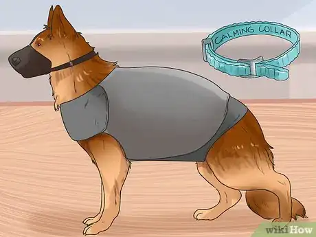 Imagen titulada Groom a Dog That Bites Step 12