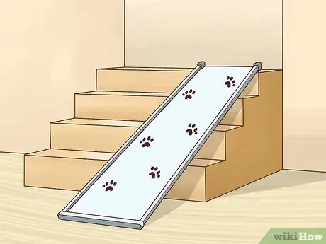 Imagen titulada Help an Old Dog Up the Stairs Step 1