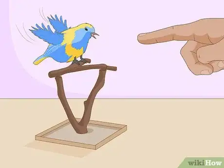 Imagen titulada Train Your Bird Step 26