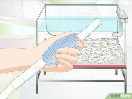 Imagen titulada Clean Aquarium Gravel Step 2