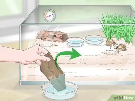 Imagen titulada Maintain Humidity in a Pet Hermit Crab Habitat Step 13