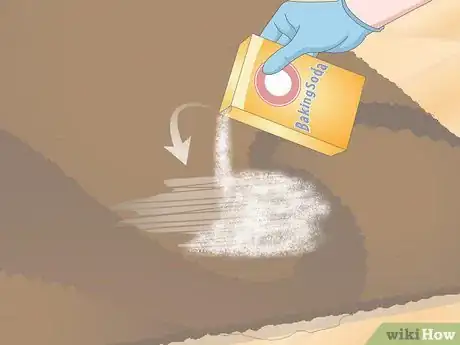 Imagen titulada Get Dog Urine Smell out of Carpets Step 4