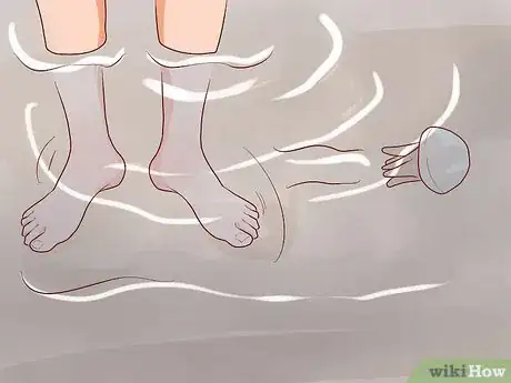 Imagen titulada Avoid Getting Stung by Jellyfish Step 10