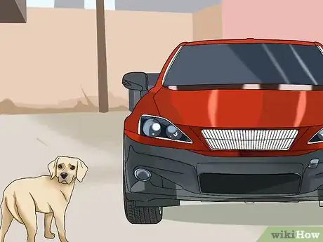 Imagen titulada Calm a Nervous Dog in the Car Step 12