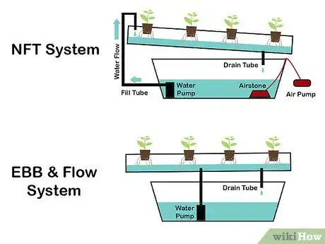 Imagen titulada Grow Hydroponic Lettuce Step 2