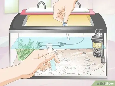 Imagen titulada Make a Shrimp Aquarium Step 11