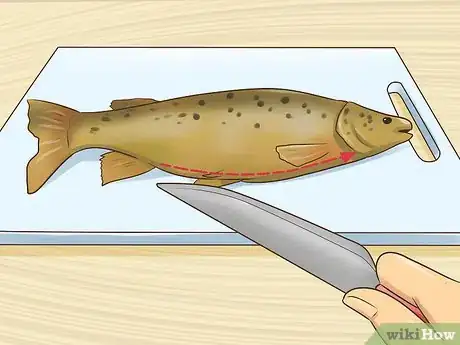 Imagen titulada Clean a Trout Step 2