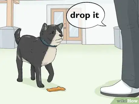 Imagen titulada Teach Your Dog to Drop It Step 14