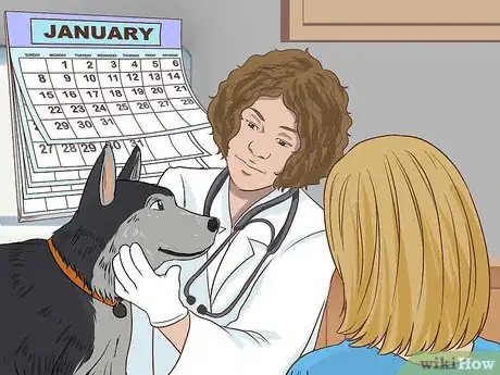 Imagen titulada Treat a Dog with Cushing's Disease Step 6