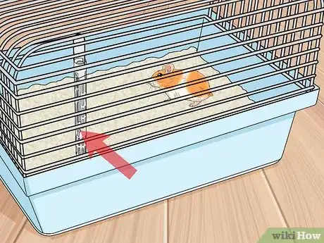 Imagen titulada Prevent and Treat Heat Stress in Hamsters Step 11