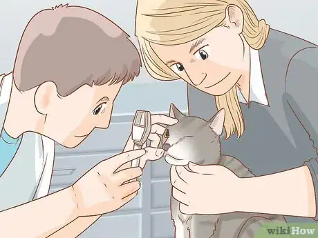 Imagen titulada Treat a Cat with Anisocoria Step 5