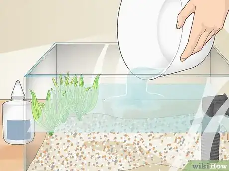 Imagen titulada Clean a Betta Fish Tank Step 9