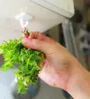 hacer té de menta