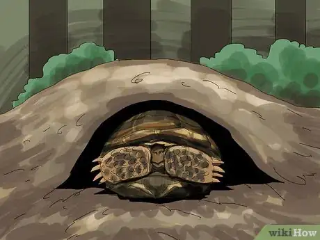 Imagen titulada Care for a Tortoise Step 13