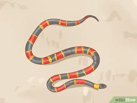 Imagen titulada Pick up a Snake Step 12