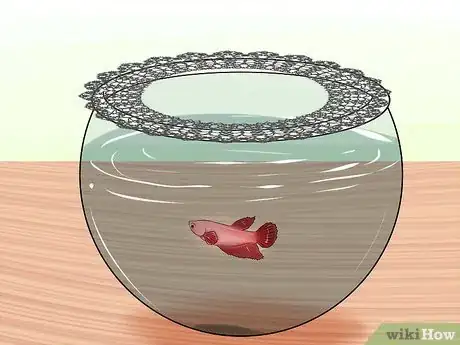 Imagen titulada Keep Fish when You Have Cats That Like to Hunt Step 2