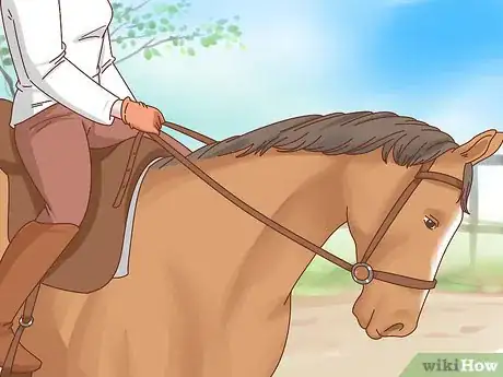 Imagen titulada Take Care of Your Horse Step 19