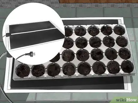 Imagen titulada Grow Bell Peppers Indoors Step 5