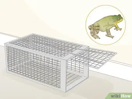 Imagen titulada Get Rid of Frogs Step 16