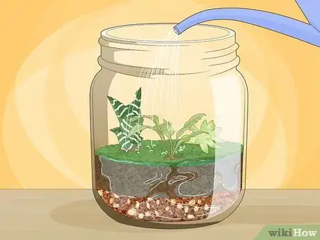 Imagen titulada Grow a Garden in a Bottle Step 13