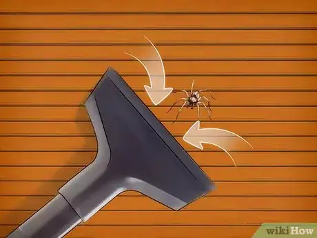 Imagen titulada Kill Spiders when You Have Arachnophobia Step 1