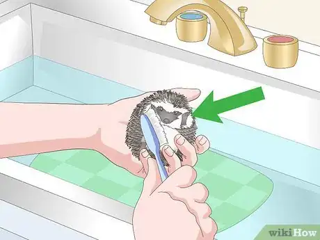 Imagen titulada Bathe a Pet Hedgehog Step 6